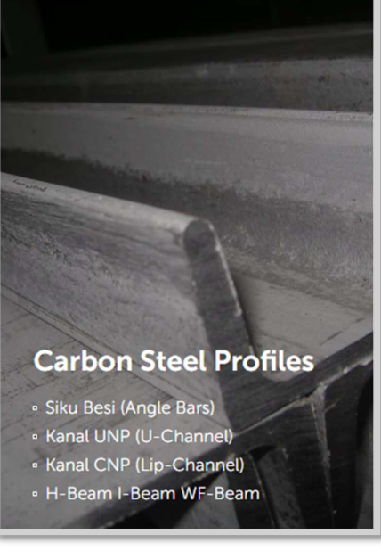 /storage/images/carbon-steel-profiles-ark.png